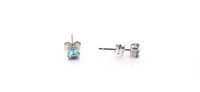 Orecchini Forever Gioielli Donna Orecchini Argento in Argento Zircone FGOR00097 - FGOR00097